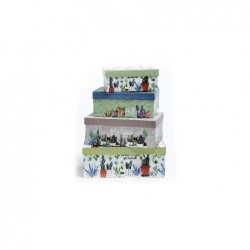 ---SET 4 SCATOLE RIO RETTANGOLARI da 25x17x10 a 16x10x7 [2691012-00.jpg]