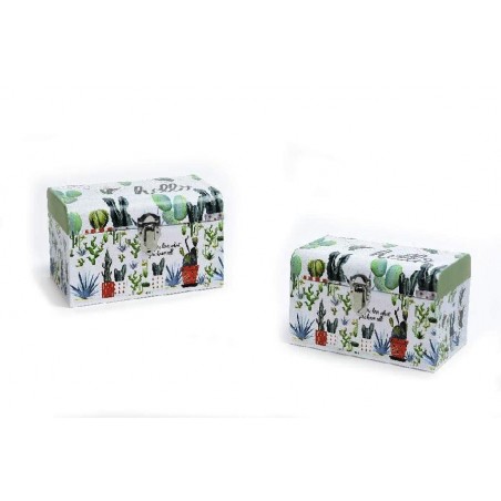 SET 2 BAULETTI RIO Chius.METALLO 20x12x12-16x10x10 [2691013-00.jpg]