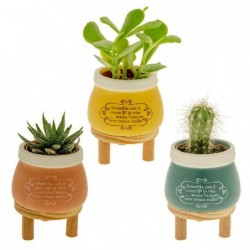 ---VASO PORTAPIANTE CON PIEDINI 8x10 3s [0170109-00.jpg]