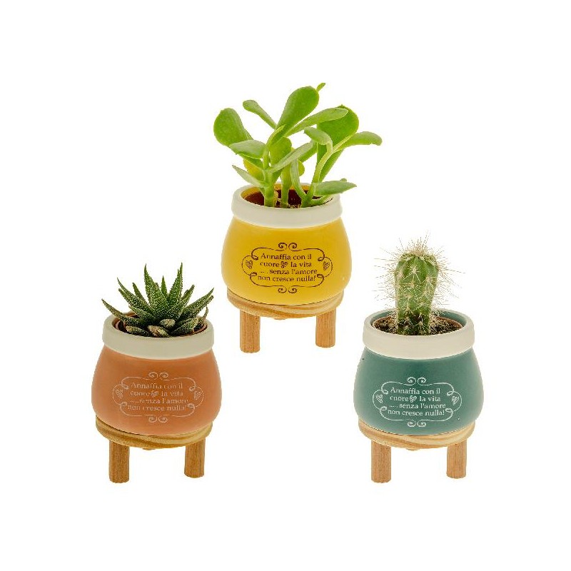 ---VASO PORTAPIANTE CON PIEDINI 8x10 3s [0170109-00.jpg]