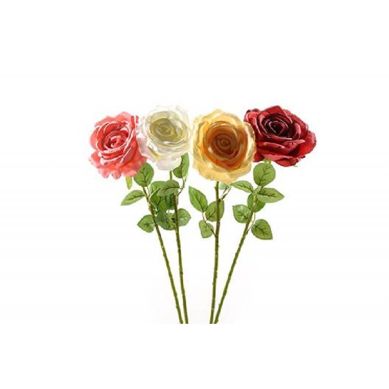 ---ROSA GAMBO LUNGO 65cm COLORI ASS.TI [9020077-00.jpg]