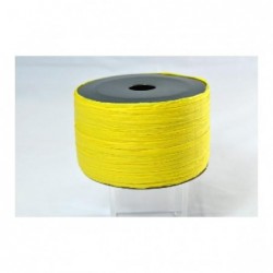 RAFFIA mm7m100 GIALLO  25533 [2701150-00.jpg]