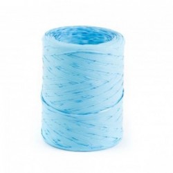 RAFFIA NATURALE mm7x100mt  CELESTE [2701174-00.jpg]