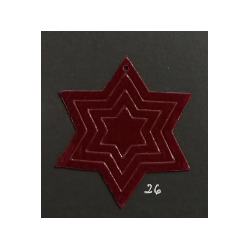 APPLICAZIONI STELLA VELLUTO BORDO	 20pz [2704583-00.jpg]