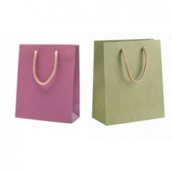 SHOPPER PASTELLO VER/ROSA 12pz 12x15+7 [2639512-00.jpg]