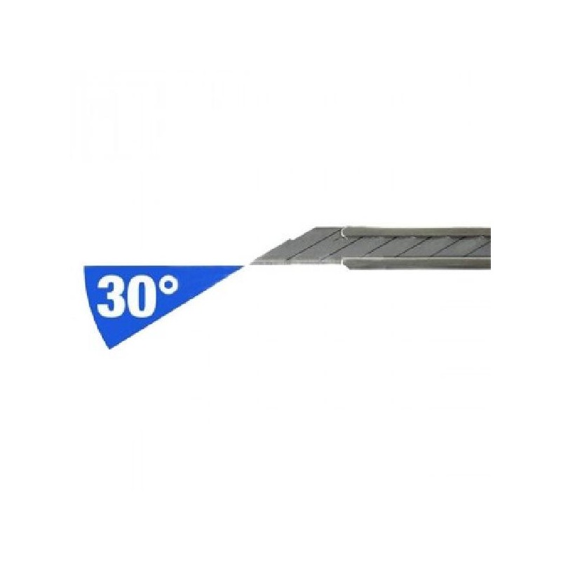 ---LAME CUTTER 10pz-GRANDE.30 [6070205-00.jpg]