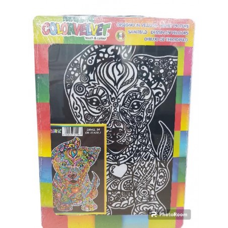 ---COLORA VELLUTO A/4 CWR [8150400-00.jpg]