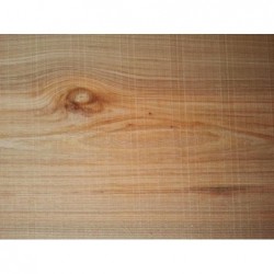 ---PLASTICA ADESIVA h45m15-OLMO MEDIO [6210215-00.jpg]