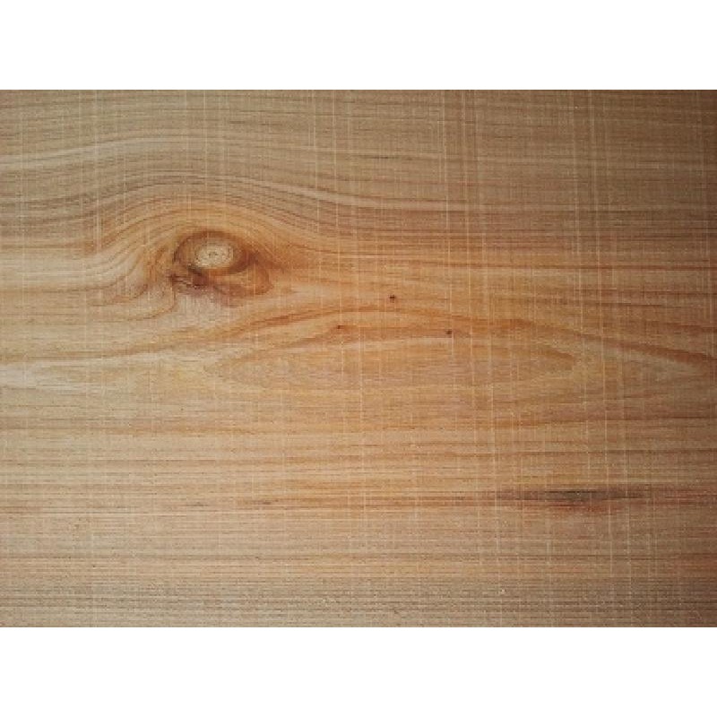 ---PLASTICA ADESIVA h45m15-OLMO MEDIO [6210215-00.jpg]