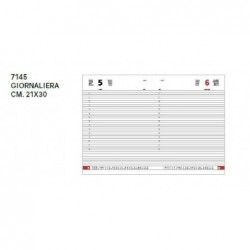 AGENDA ALFA 21x30gg Sab/Dom. INTERO [7145AFX-10.jpg]