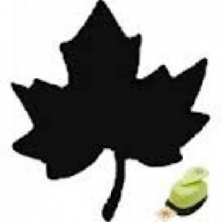 ---FUSTELLA MEDIA FOGLIA [8167605-00.jpg]