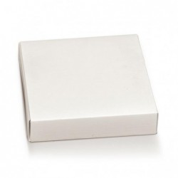 CASSETTO QUADRATO 120x120x30mm FIBRA BIA [TONO18970-00.jpg]