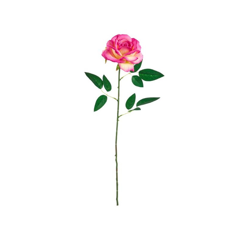 ---ROSA 60cm ROSA CORALLO [9022015-00.jpg]