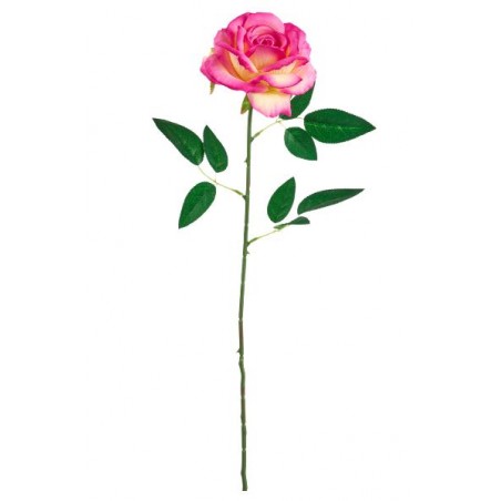 ---ROSA 60cm ROSA CORALLO [9022015-00.jpg]