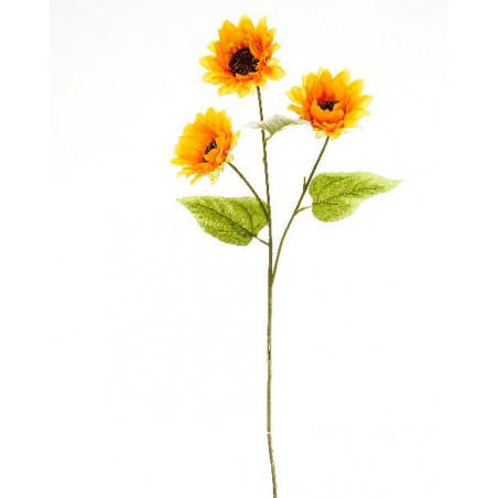 ---GIRASOLE d12cm ALTO 62cm [9022033-00.jpg]