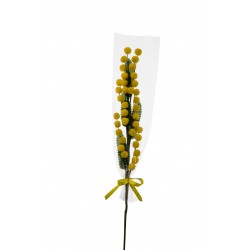 RAMETTO MIMOSA INCARTATA 38cm