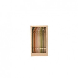 SET 6 CANNUCCE IN BOROSILICATO COLORATO CON SPAZZOLINO h20cm [0300277-00.jpg]