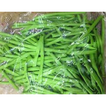 MODELLABILI 260Q LIME 100p [8413392-00.jpg]