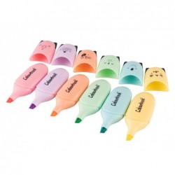 ---EVIDENZIATORE WILD&CUTE 6pz ColBOOK [COL23085-10.jpg]