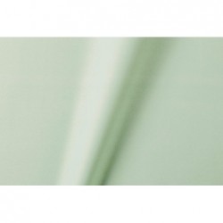 BOBINA NEW PERLA cm100mt25 VERDE [2629102-10.jpg]