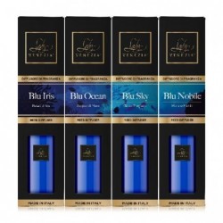 DIFFUSORE AMBIENTE 500ml BLU ASS.TO [0031114-00.jpg]