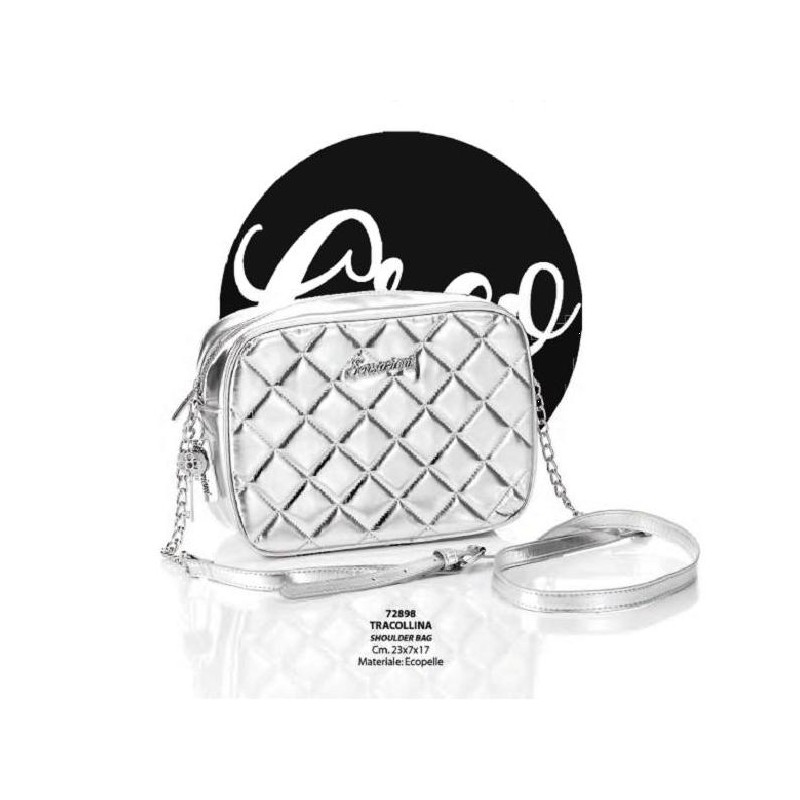 BORSETTA TRACOLLA ARGENTO 23x17 [0072898-00.jpg]