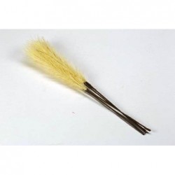 APPLICAZIONE PAMPAS cm16 PANNA [0130126-00.jpg]