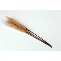 APPLICAZIONE PAMPAS cm16 BEIGE [0130129-00.jpg]