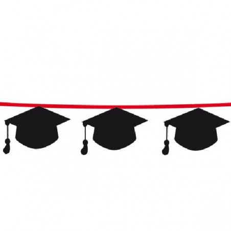 FESTONE LAUREA PLASTICA 150x25 [8840225-00.jpg]