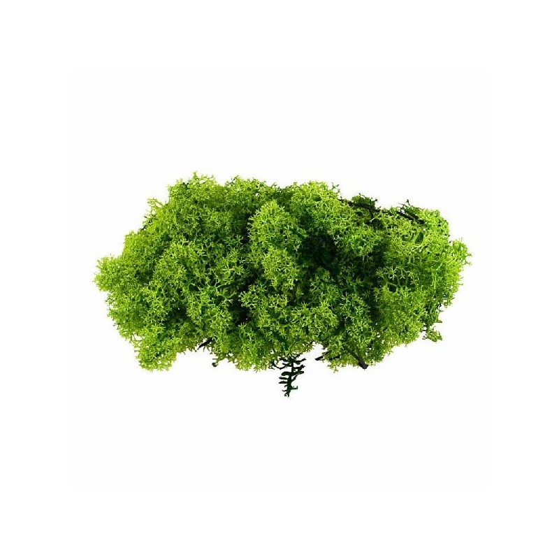 LICHENE VERDE BUSTA 100gr [9015476-00.jpg]