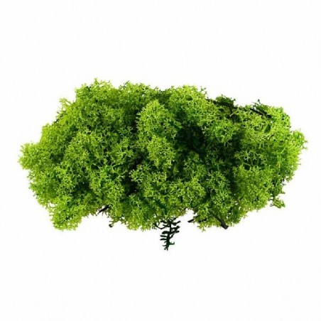 LICHENE VERDE BUSTA 100gr [9015476-00.jpg]