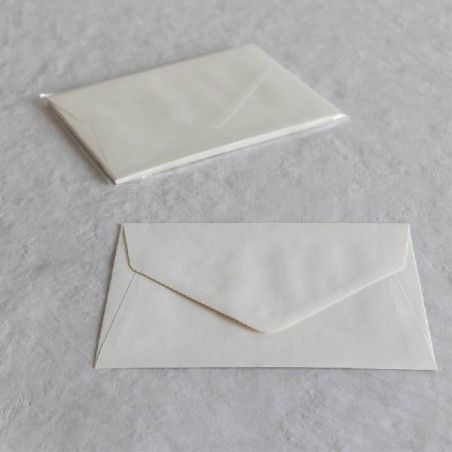 BUSTE A PUNTA 12x18 10pz BETULLA [2135042-00.jpg]