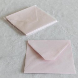 BUSTE A PUNTA 12x18 10pz NUDE [2135084-00.jpg]