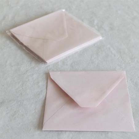 BUSTE A PUNTA 12x18 10pz NUDE [2135084-00.jpg]