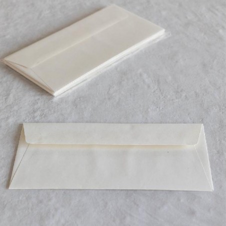 BUSTE 11x22 10pz BETULLA [2135242-00.jpg]