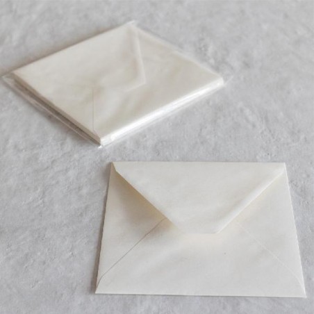 BUSTE A PUNTA 16x16 10pz AVORIO MARTELL [2135343-00.jpg]