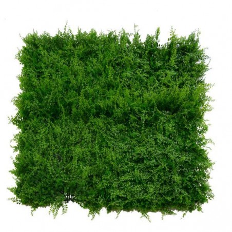 DECORAZIONE PANNELLO FORESTA 100x100 [9020049-00.jpg]
