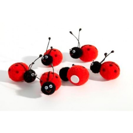 COCCINELLE CINIGLIA 3,5cm-6pz [9023003-00.jpg]